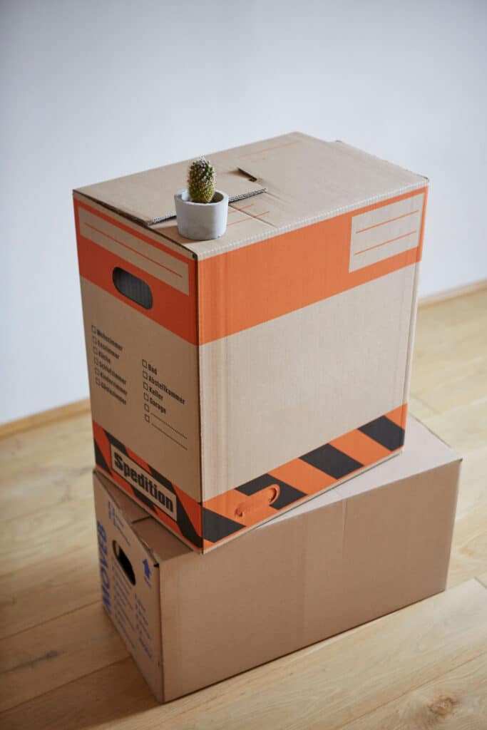 Cartons de déménagement : cactus sur boîte en bois Deux cartons de déménagement empilés sur un sol en bois clair, le dessus portant un petit cactus dans un pot en béton et l'inscription "Spedition".