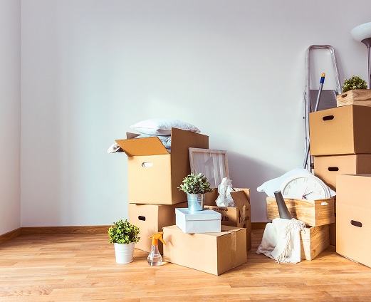 Maison vide avec piles de cartons de déménagement, plantes en pot, horloge et escabeau, murs blancs et parquet en bois clair.